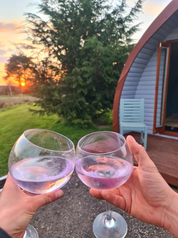 מלון Derwen Delightful Camping Pod In Snowdonia, North Wales. מראה חיצוני תמונה